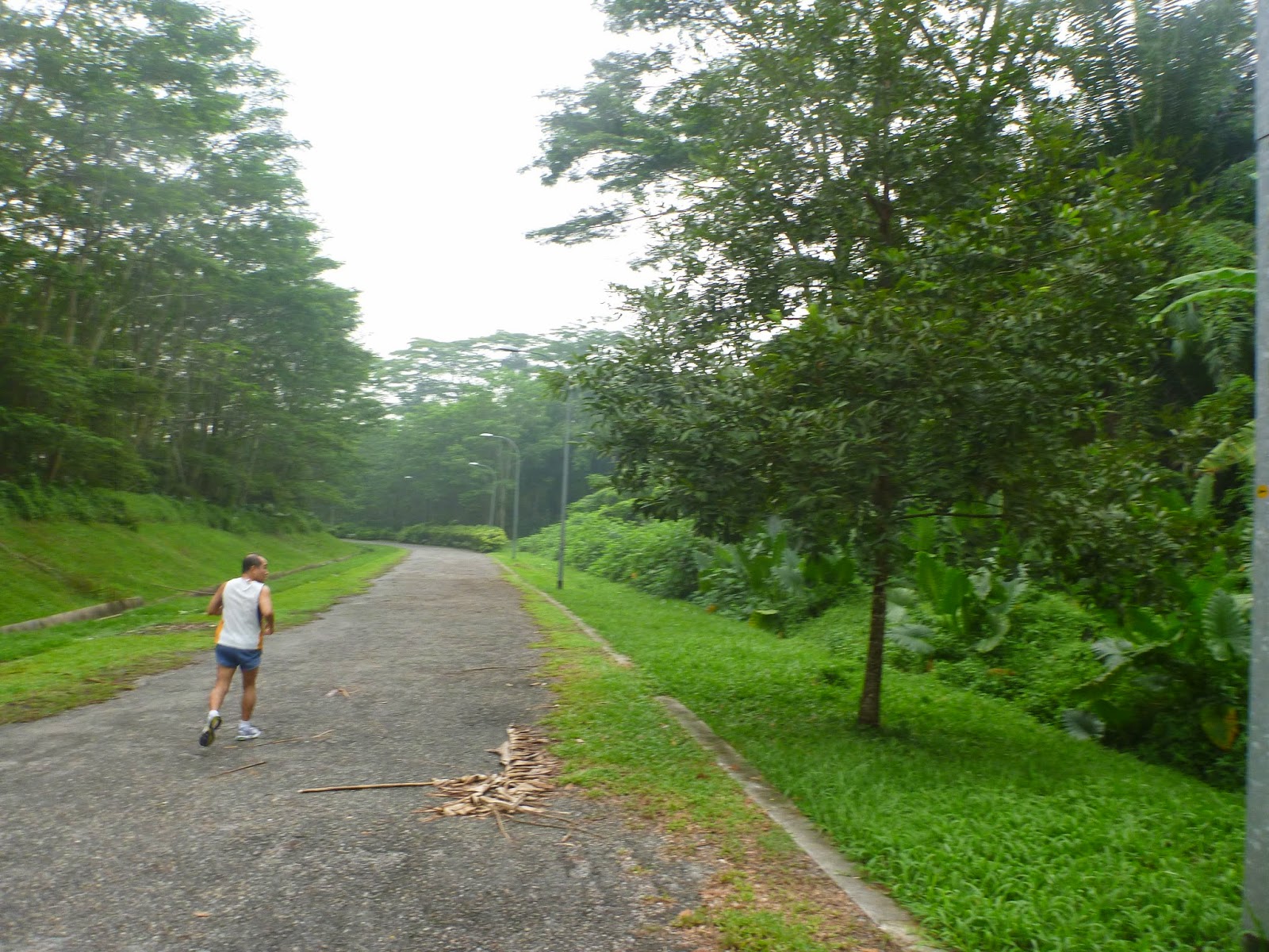 Old Holland Road, Singapore