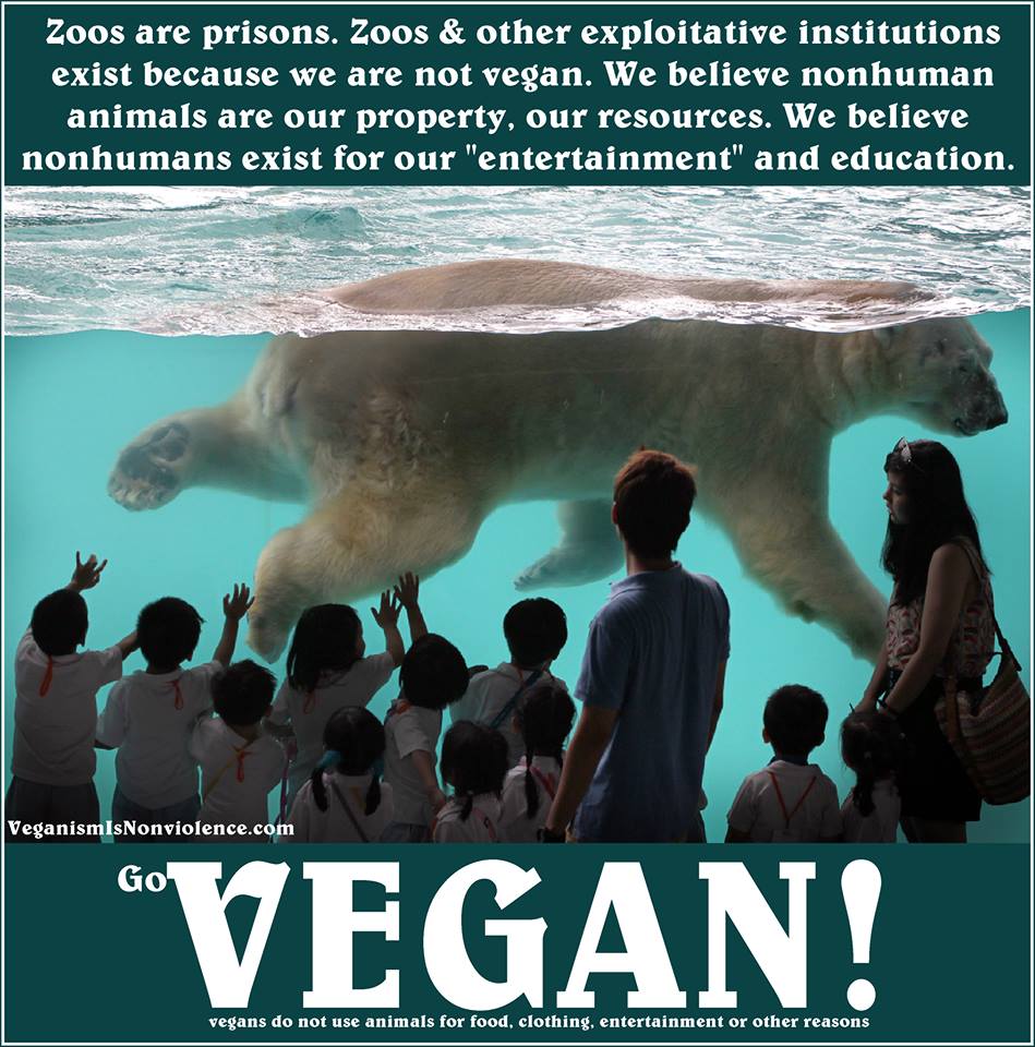 VEGANISM A TRUTH WHOSE TIME HAS COME 100+ "RightOn" VEGAN Advocacy
