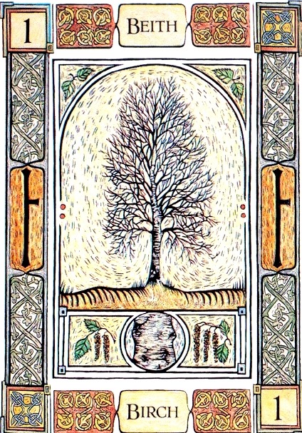 Birch Tree from The Celtic Tree Oracle by Liz and Colin Murray