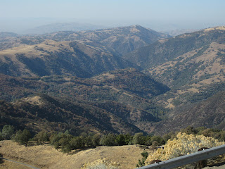 View of tree-studded hills from the summit of Mt. Hamilton.
