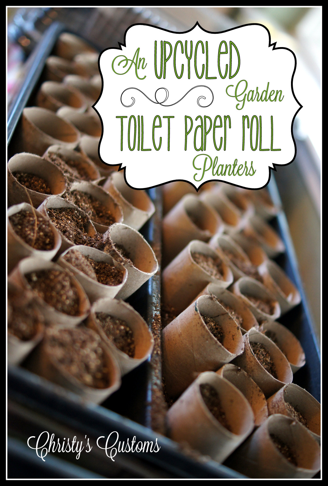 Christy's Customs and the Little House by the Olive Tree An Upcycled