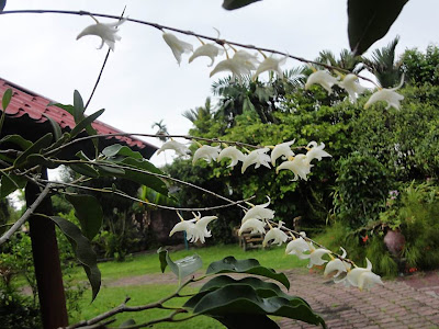 Kebun Bahagia Bersama