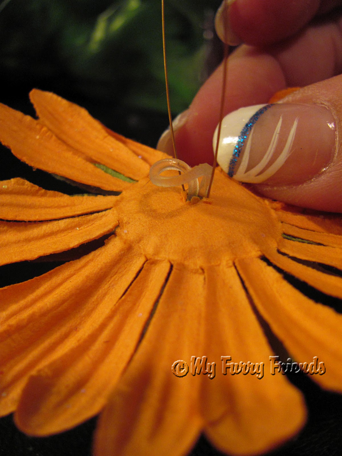 Pet Grooming The Good, The Bad, & The Furry Feathers, Feathers, Feathers