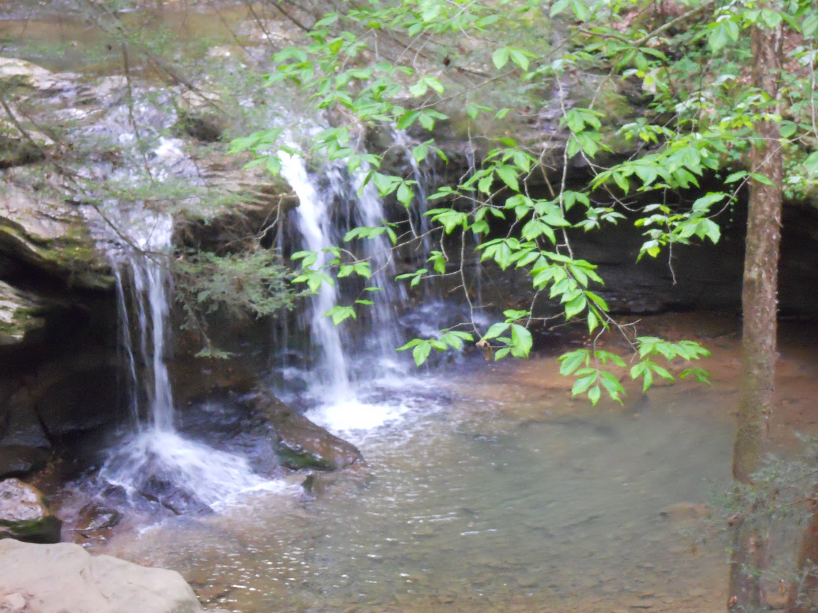 Go on the Cheap Guided Hike in Frozen Head State Park