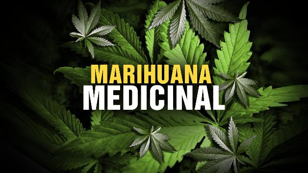 Marihuana+medicinal.jpg