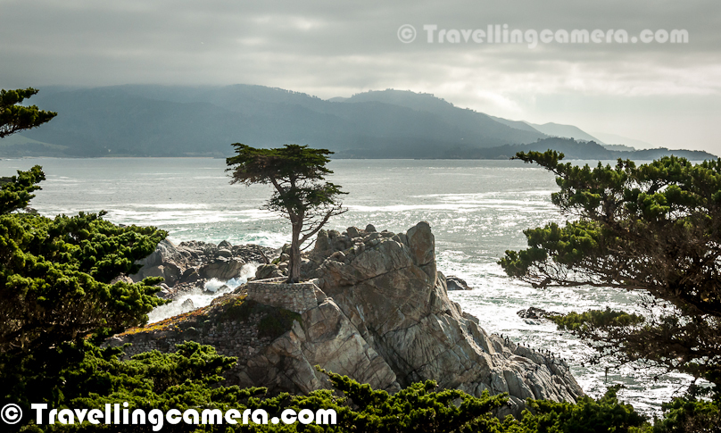 17 Mile Drive Is A Scenic Road Through Pacific Grove And