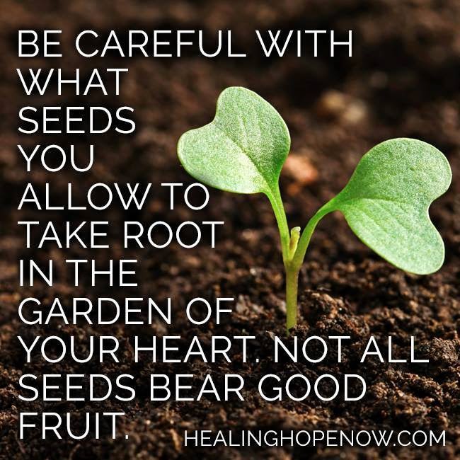 My Strength: Mark 4:13-20 - "Start A Fire In Me"