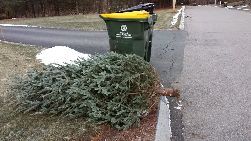 Christmas Tree Pickup Hrm at Diane Ryan blog