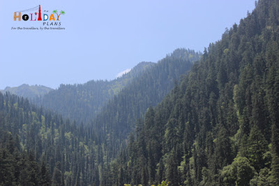 View from Sojha Village View from Sojha Village