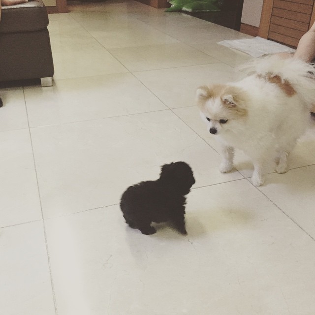My SNSD: [PHOTOS] 150528 Yuri's Instagram Updates with Hani and DooE