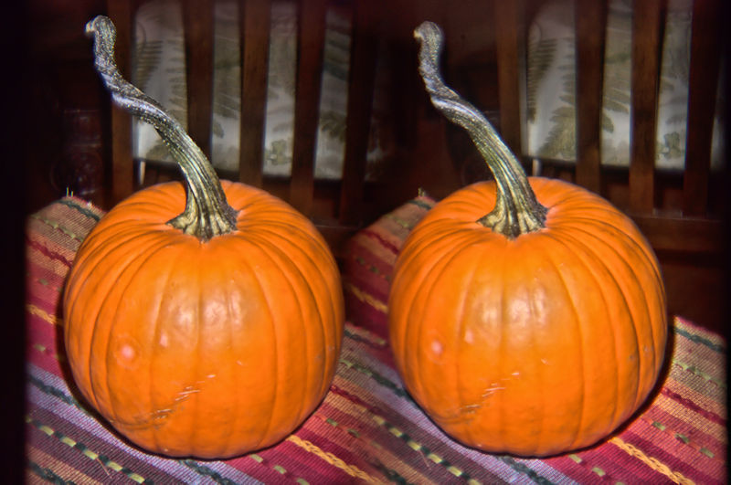[Image: pumpkin.jpg]