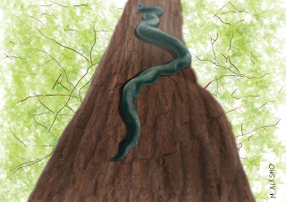 Snake on tree Snake climbing a tree