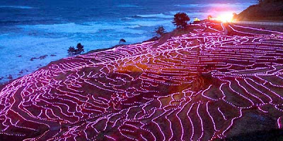 Sawah Unik Sawah Unik dengan Hiasan 20.000 Lampu LED