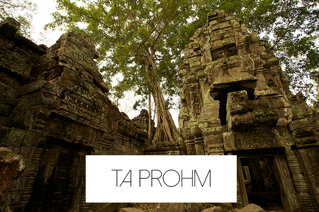 Photo: Nick Nieto Ta Prohm