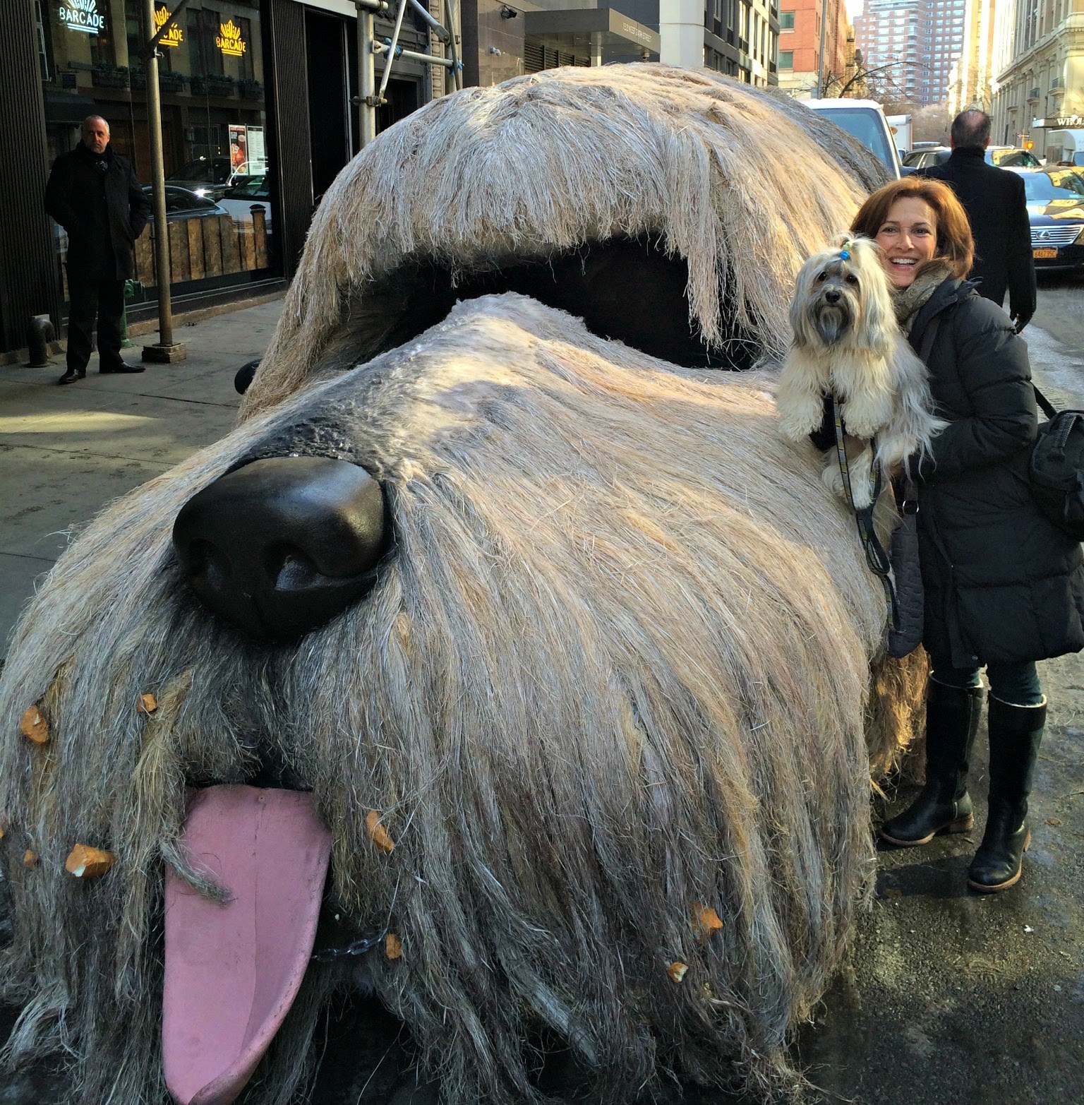 febreze dog car