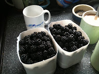 Summer Fruits