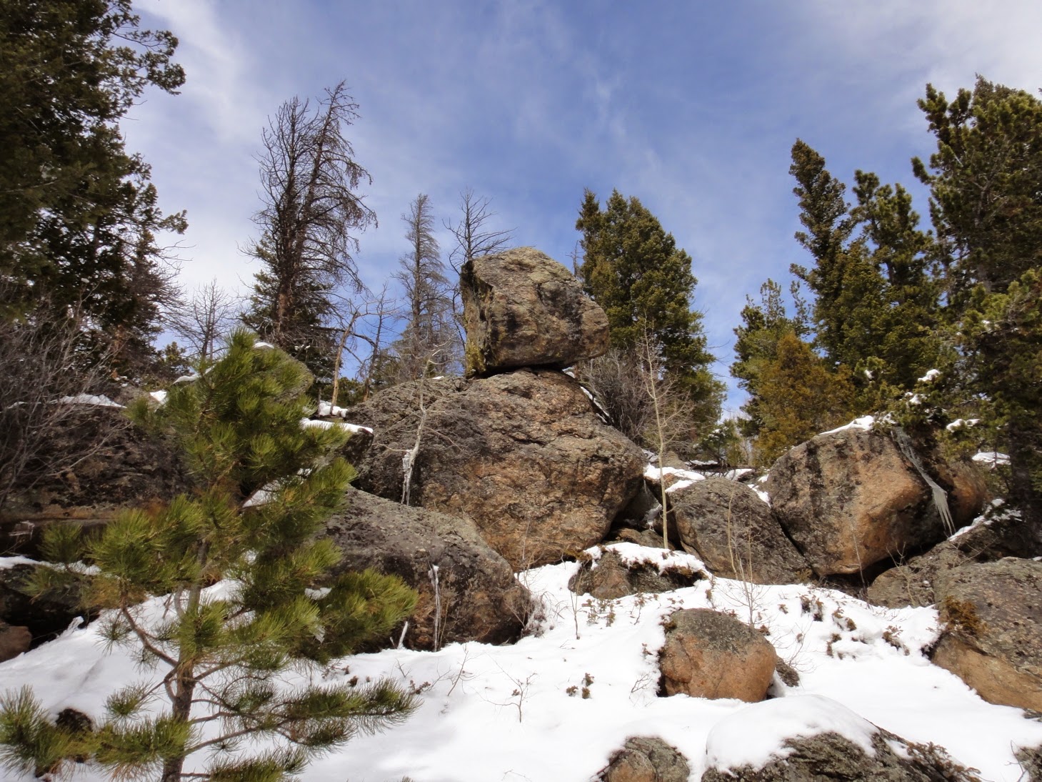 Hiking Rocky Mountain National Park Beaver Mountain via Beaver Meadows TH.