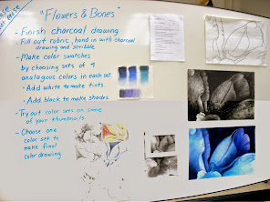 "Flowers and Bones", grades 9-12 teaching board