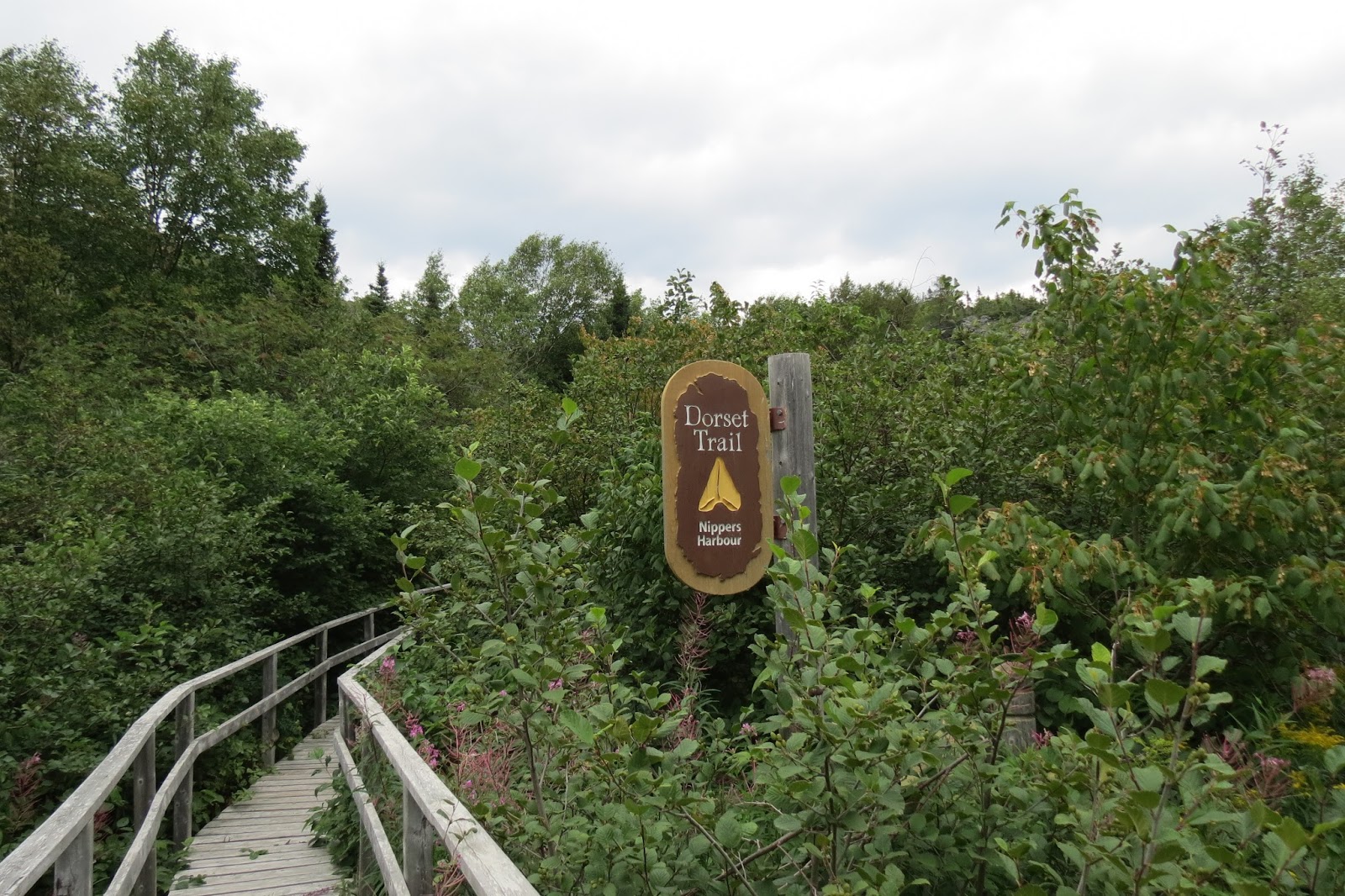 Travel Newfoundland and Labrador by Motorcycle Nippers Harbour to