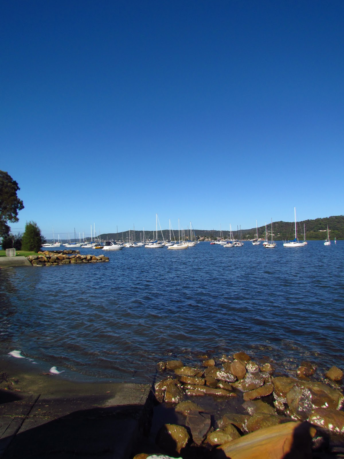 A View Of Sydney Brisbane Waters
