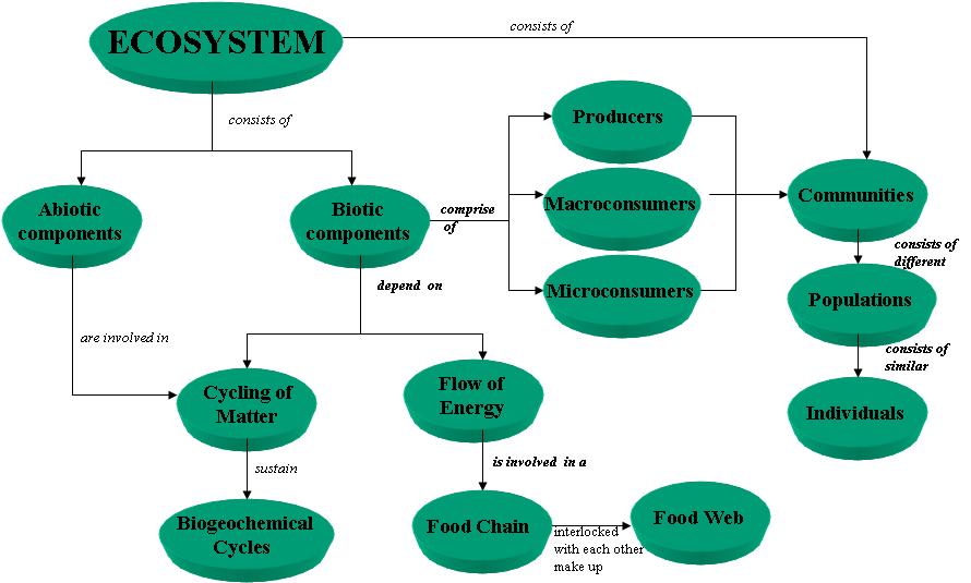 Ecology and Ecosystem