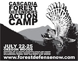 Forest Action Camp