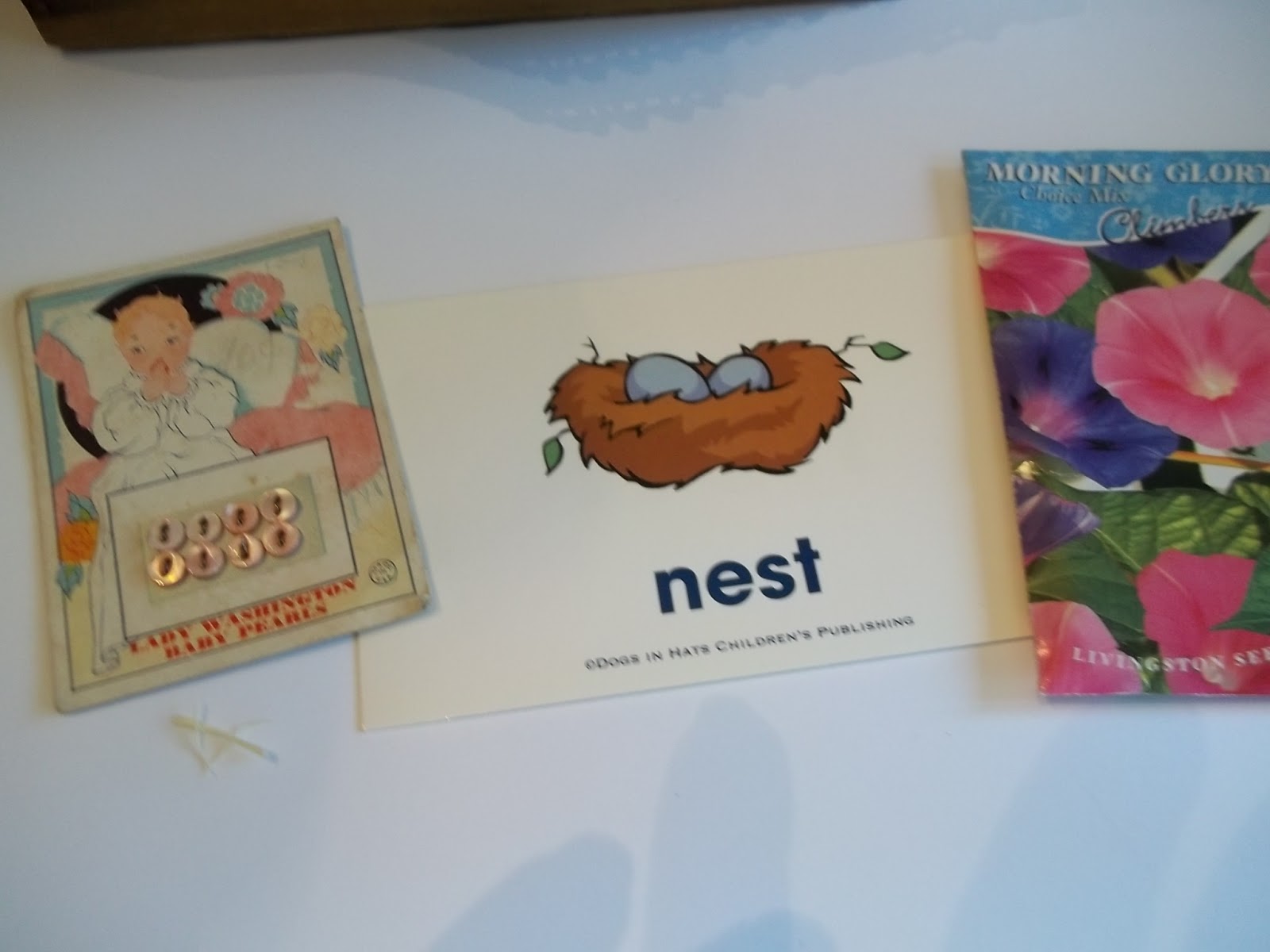 COZY BLANKET How to build a nest