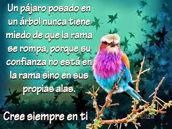 http://4.bp.blogspot.com/--4QKgmyybRI/U8xAIPDxW0I/AAAAAAAAZ4k/B_XcX54c-mU/s1600/Cree-siempre-en-ti.jpg