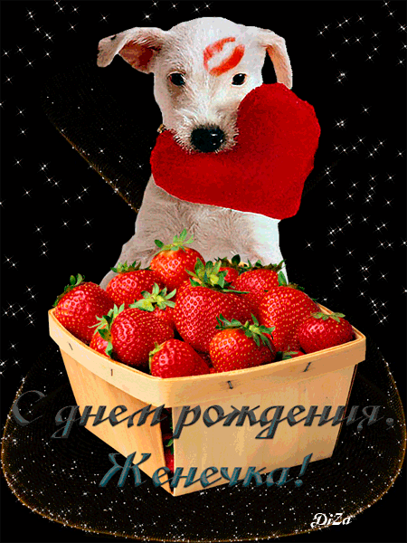 С днем рождения моя доченька 1 годик стихи С днем рождения моя доченька 1 годик стихи