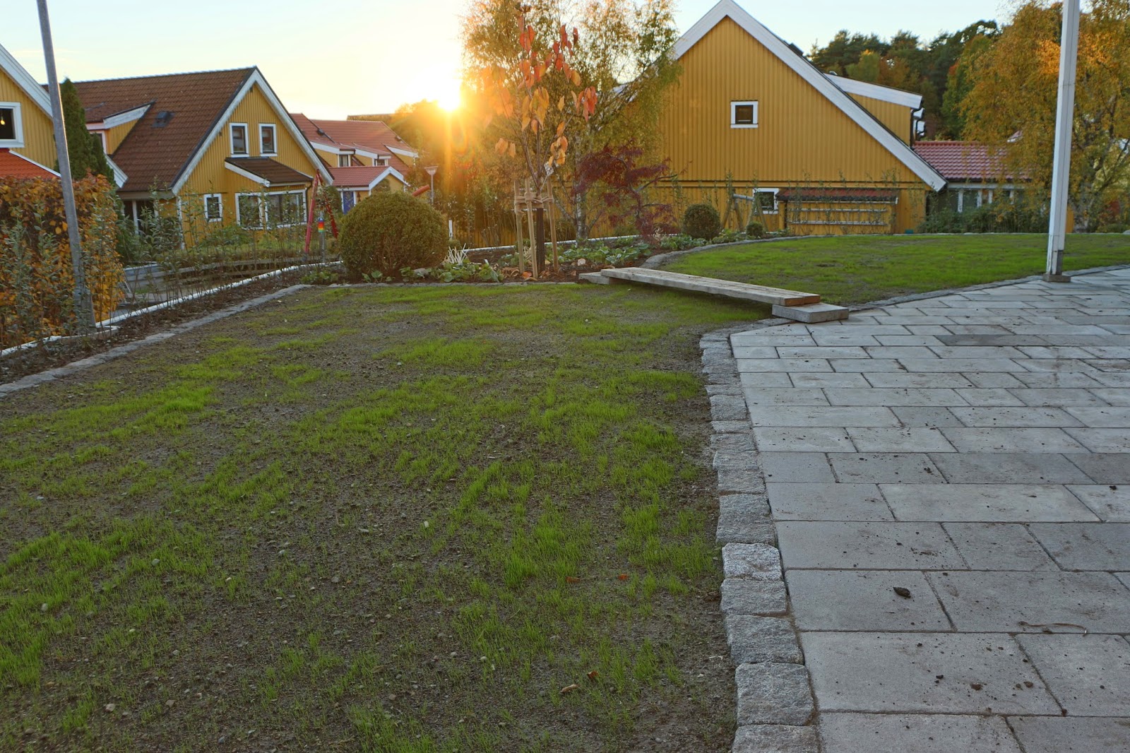 387 kvadrat : en trädgård i förvandling