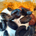 Chipotle Nachos w/ a Twist