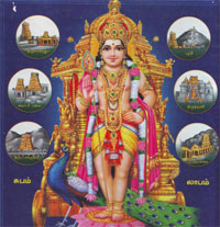 Lord Murugan Wallpapers ~ 521 Entertainment World