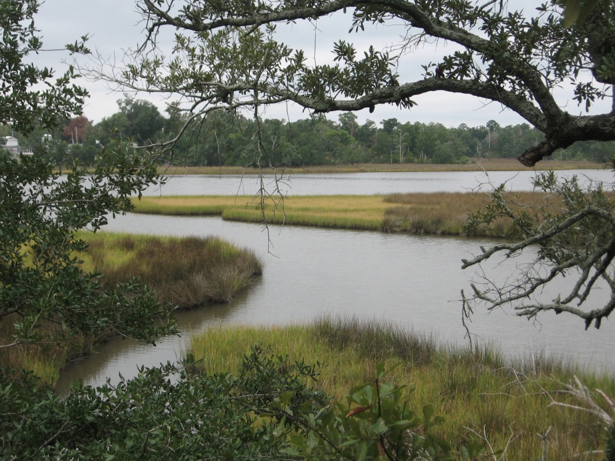 Road Trips! Davis Bayou, Mississippi Gulf Islands National Seashore