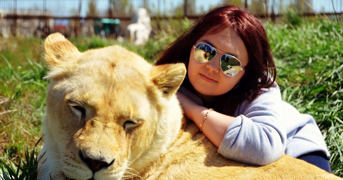 Сценарий на осенний бал для клуба Сценарий на осенний бал для клуба