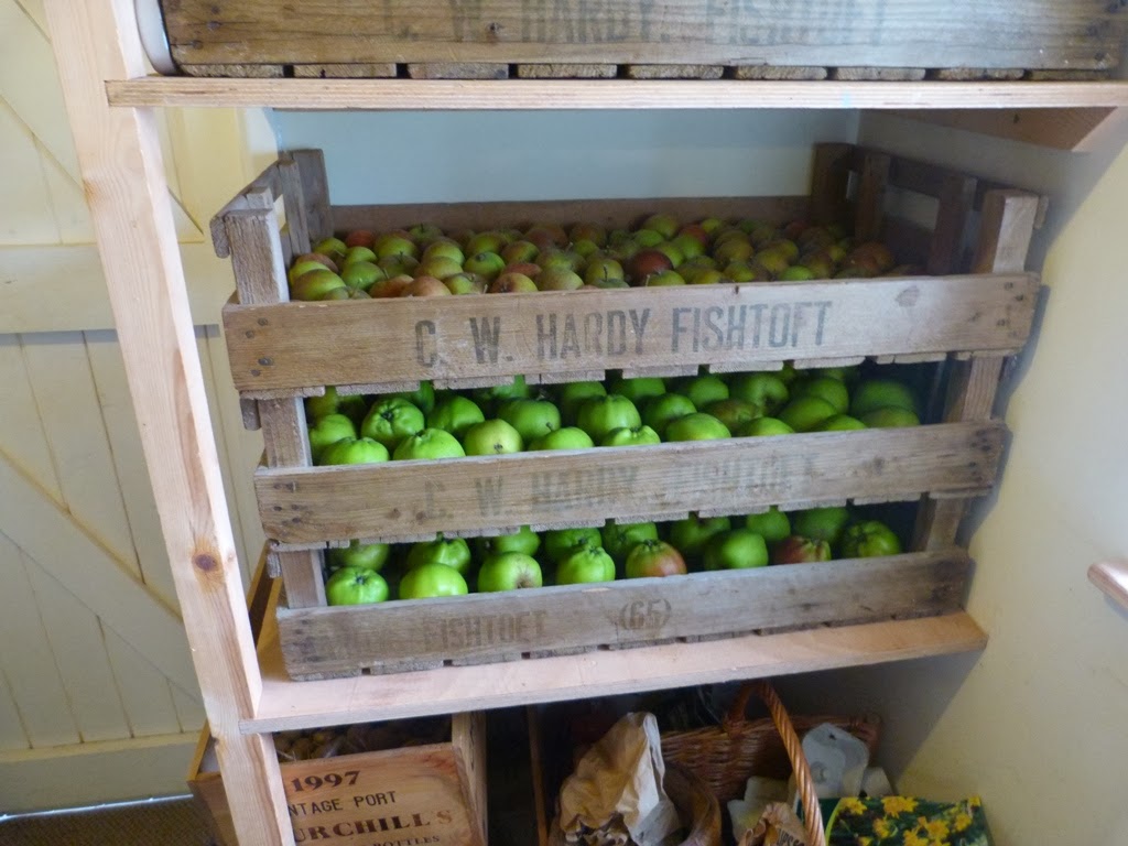 An English Homestead Storing Apples