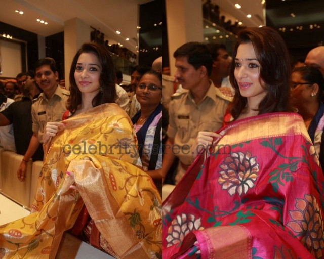 Tamanna Showcasing Pythani Silk Saris