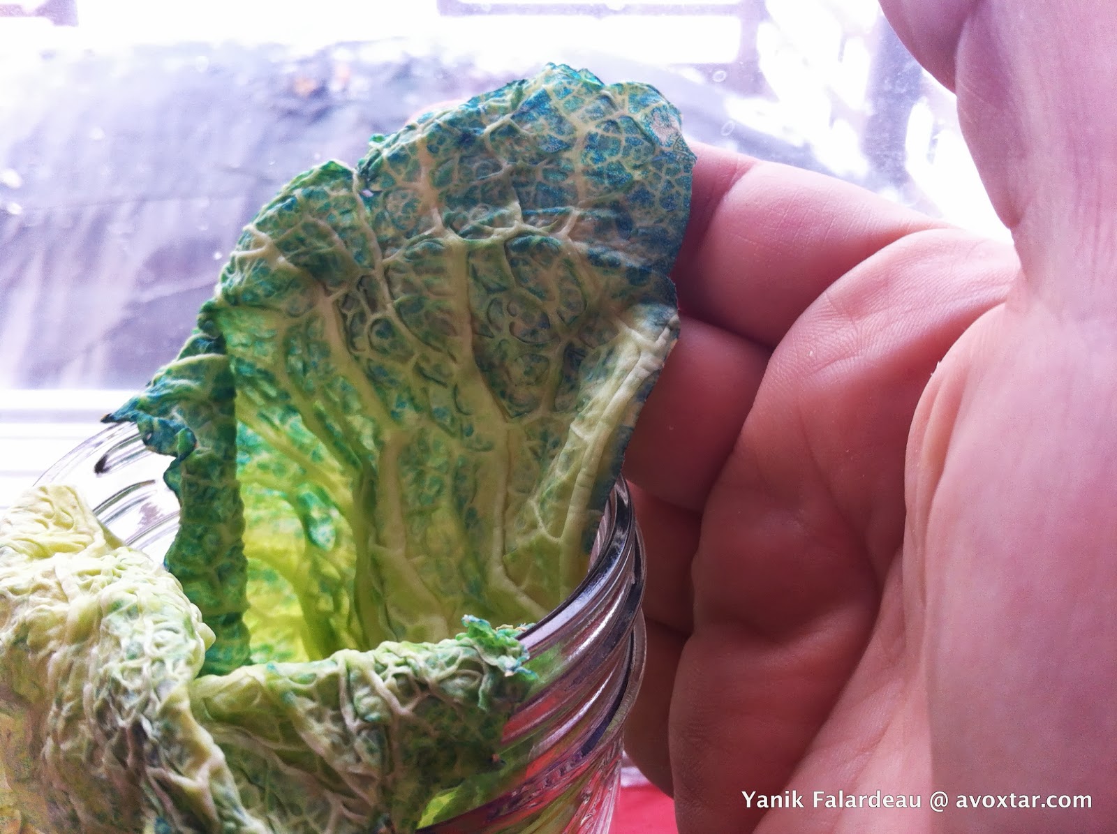 Digital Loik : Science Overview