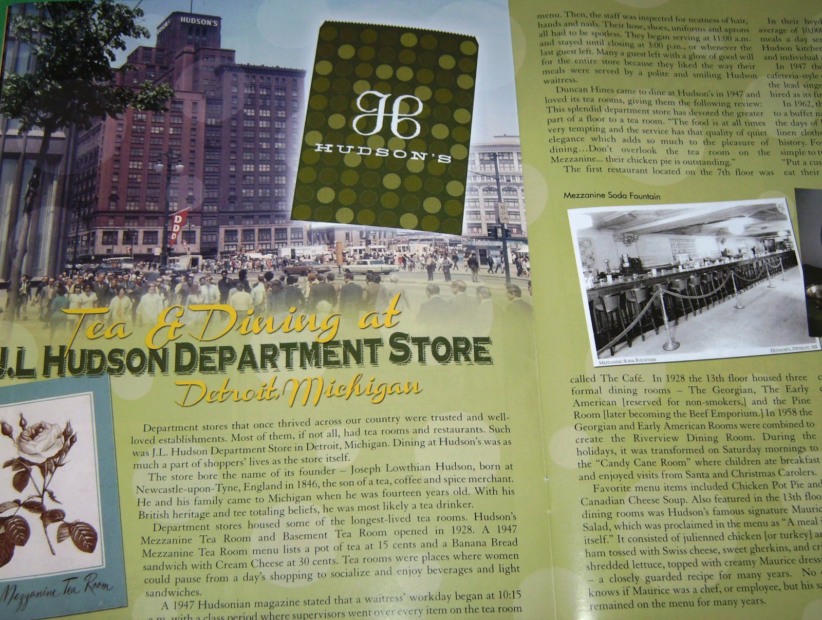 Relevant Tea Leaf J.L. Hudson's Department Store