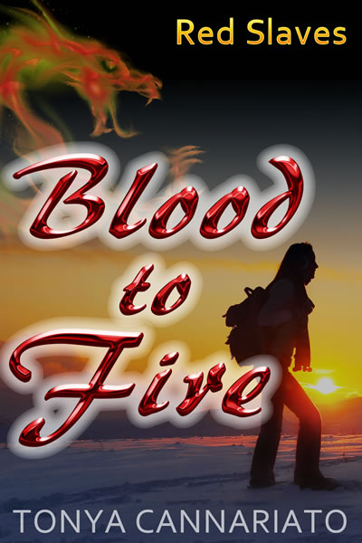 Blood to Fire - by Tonya Cannariato