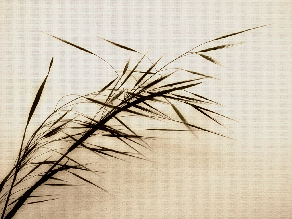 http://4.bp.blogspot.com/--7gw2oqBE4M/TvG-dJTi_ZI/AAAAAAAAAII/6Nn5-lWIyGU/s1600/zen_wallpaper_by_mordachai71.jpg