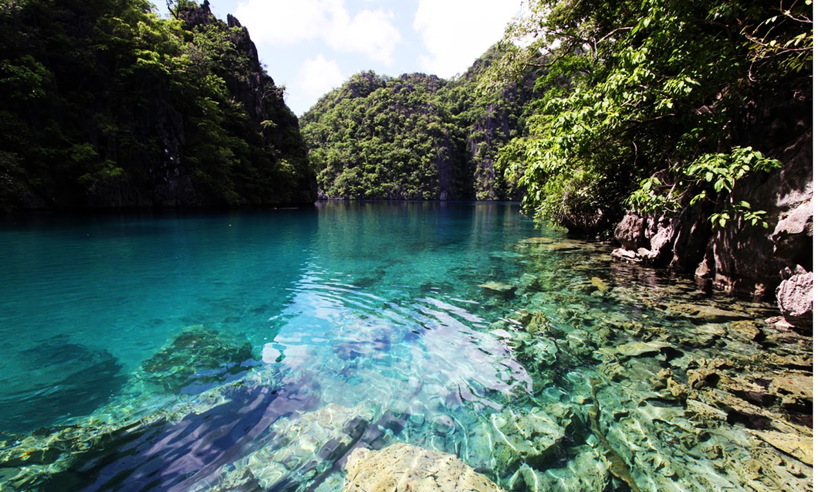 Palawan 1