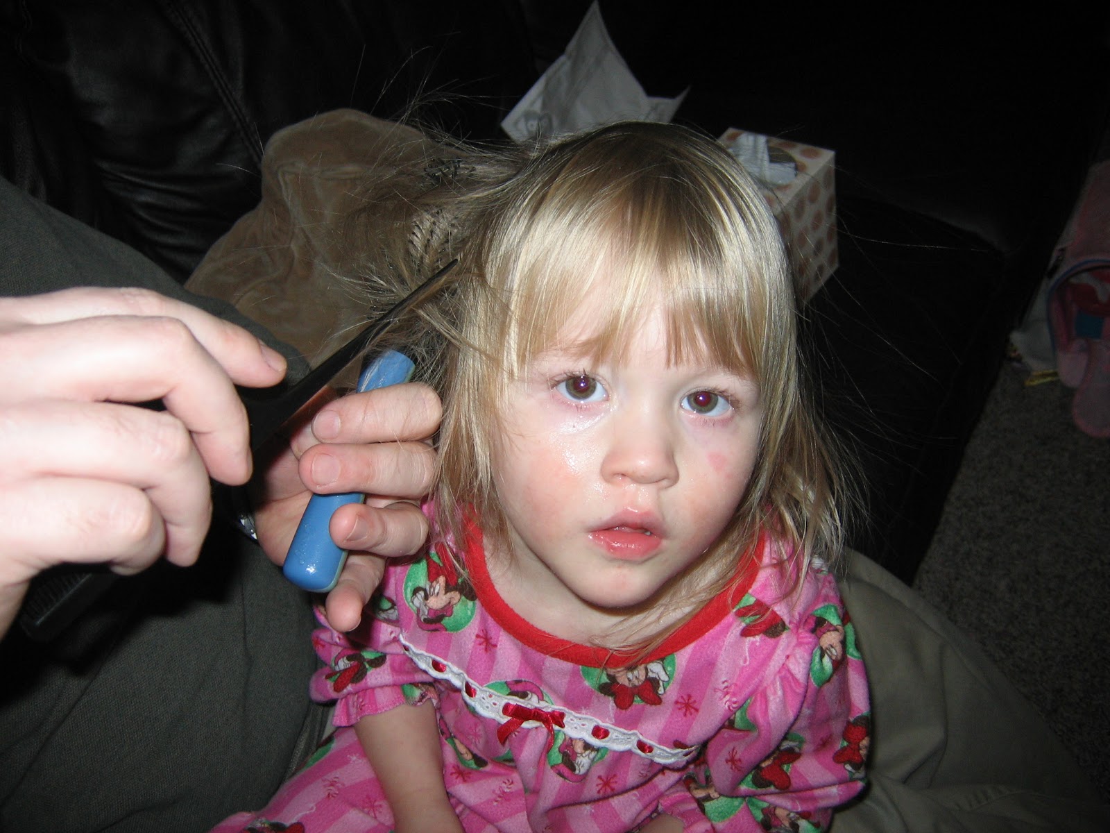 CONTROLLING Craziness Untangling hair from a brush