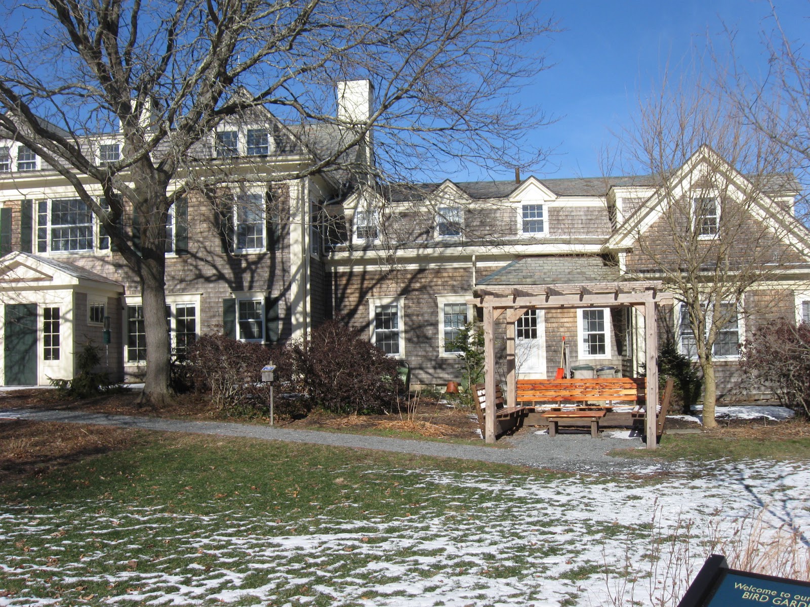 New England Nature Notes Along the South Shore Marshfield and