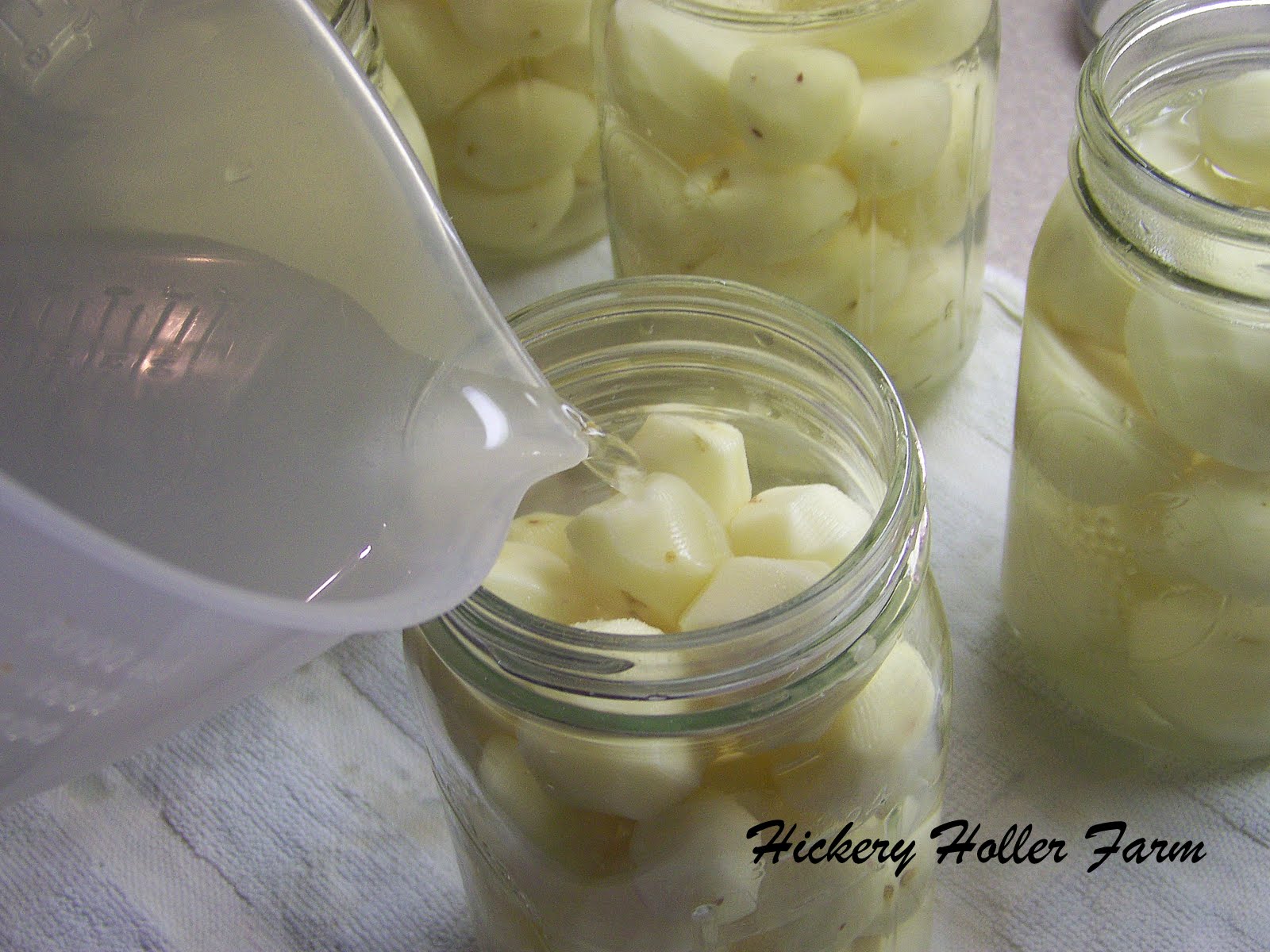 Hickery Holler Farm Canning New Potatoes