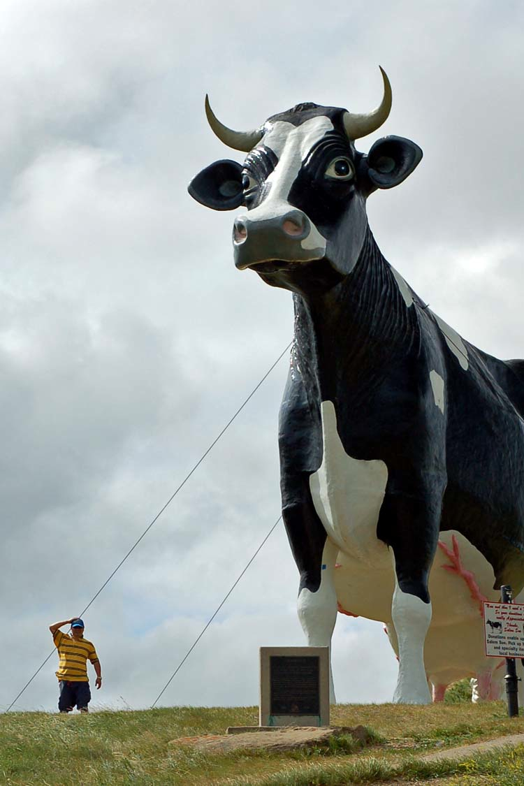 Please Note America The Weird