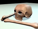skull and bone 3ds max tutorial