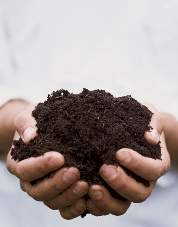 life group devotions matt 13 7 9 rich soil by whitney life group devotions matt 13 7 9 rich soil by whitney