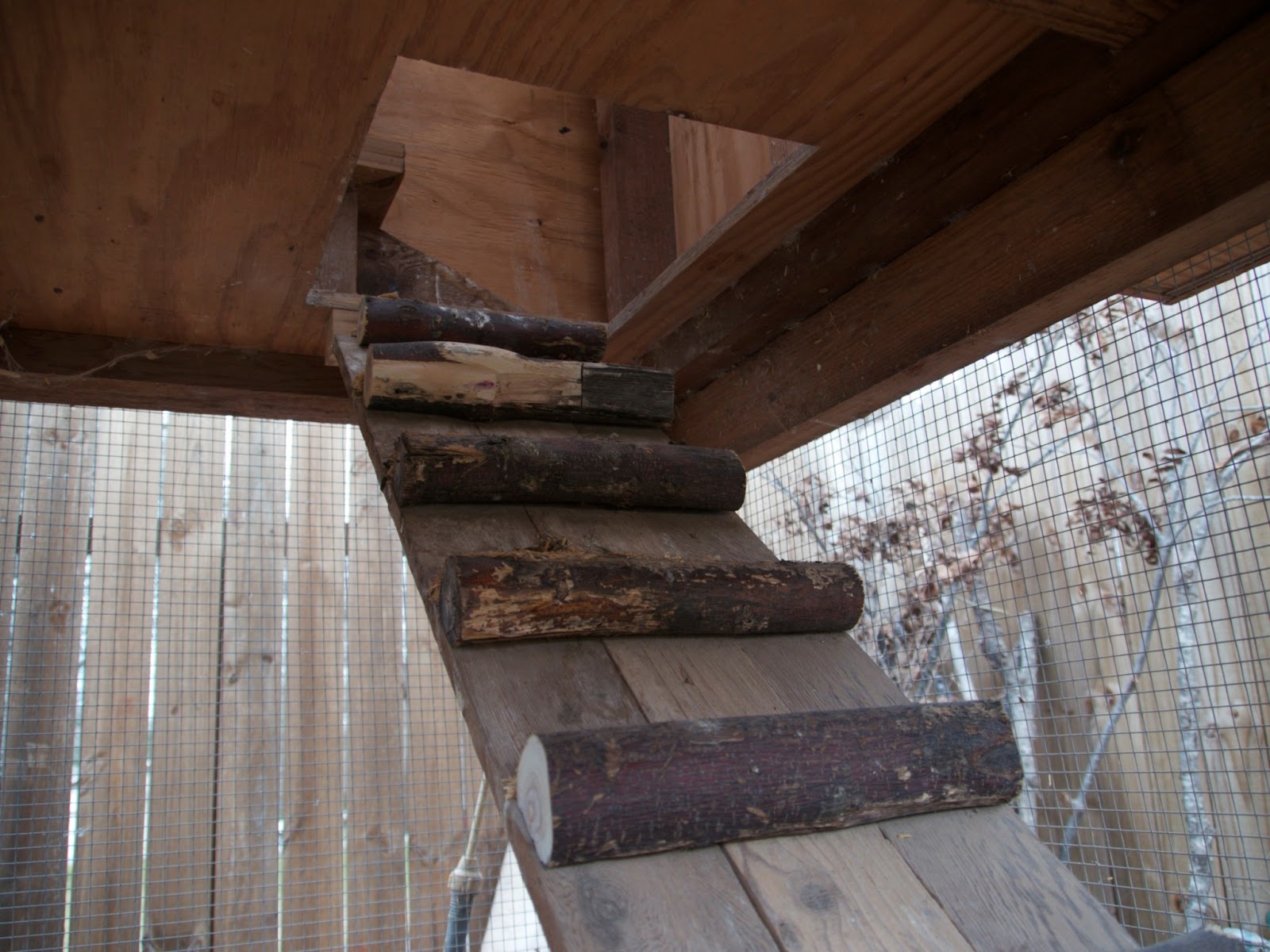 From Our Garden Coop Walkway