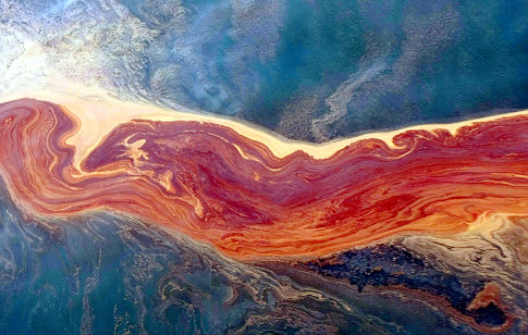 Bp oil spill essay