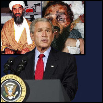 re osama bin laden shot dead. killed Osama bin Laden,